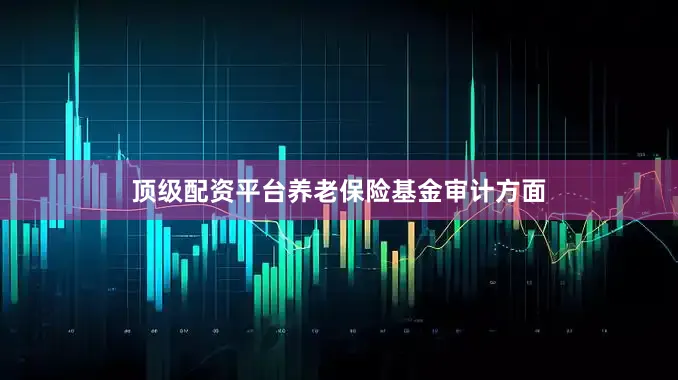 顶级配资平台养老保险基金审计方面