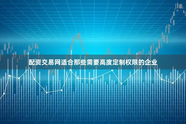 配资交易网适合那些需要高度定制权限的企业