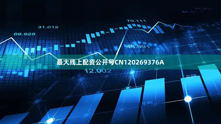 最大线上配资公开号CN120269376A