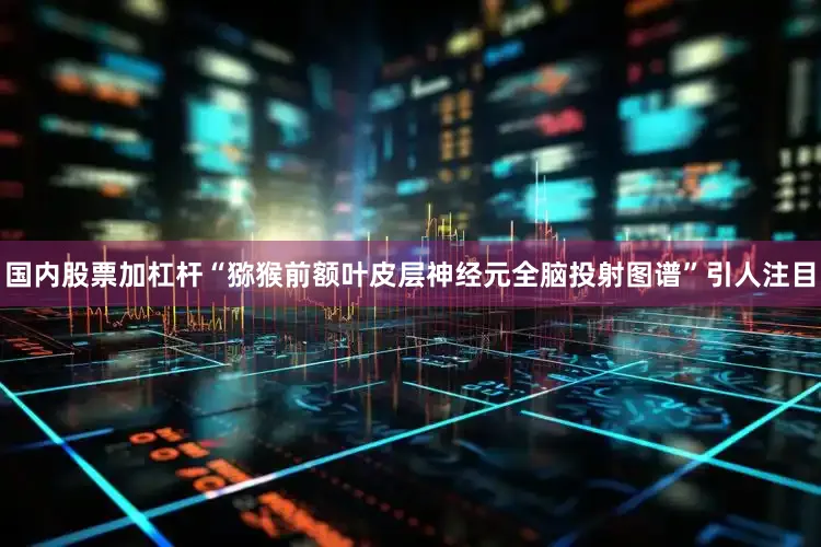 国内股票加杠杆“猕猴前额叶皮层神经元全脑投射图谱”引人注目