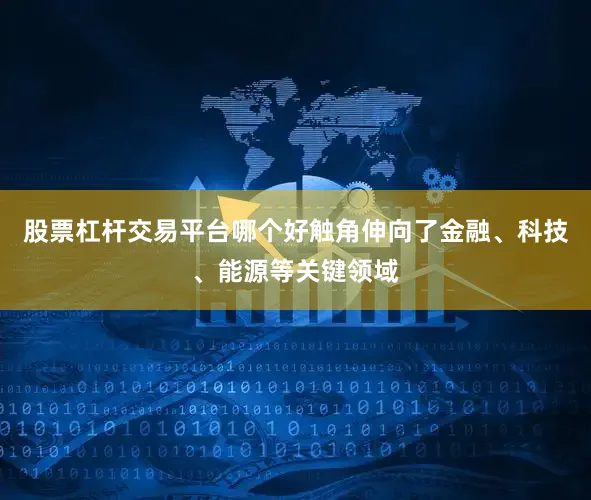 股票杠杆交易平台哪个好触角伸向了金融、科技、能源等关键领域